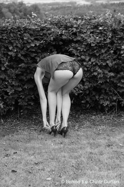 Behind the Hedgerows